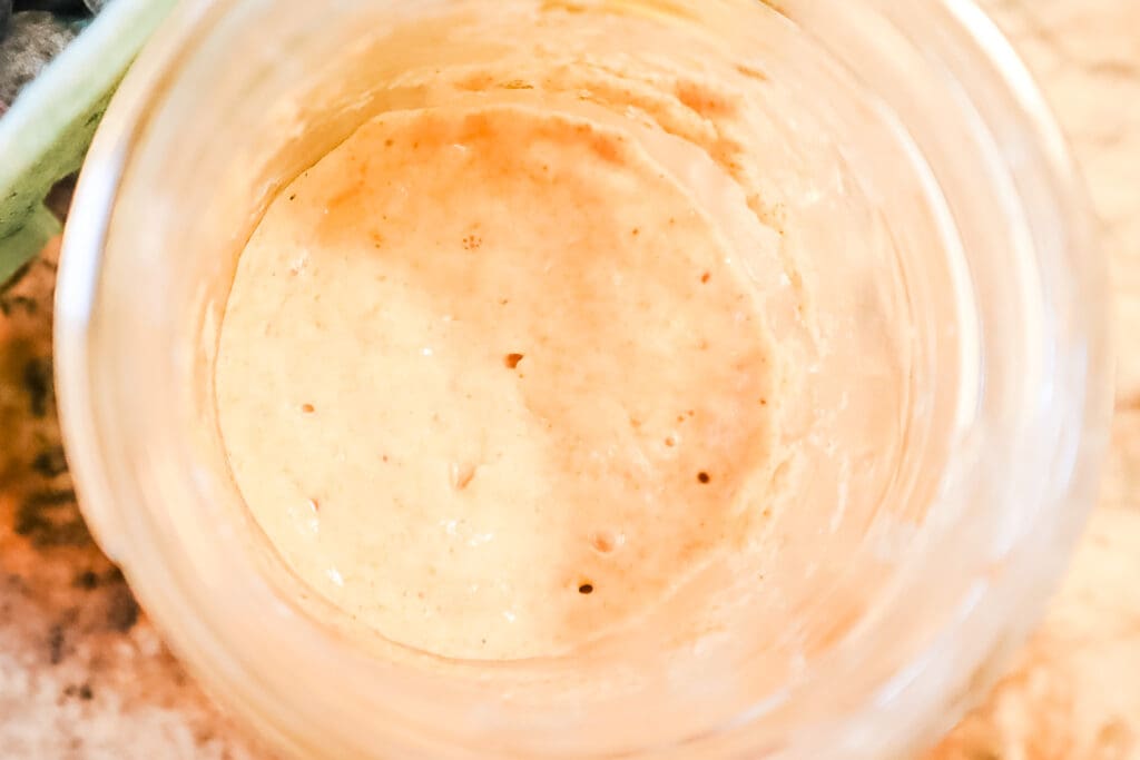 Sourdough Discard in jar