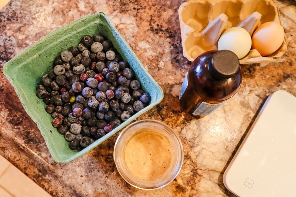 blueberries, sourdough discard, vanilla, eggs, kitchen scale