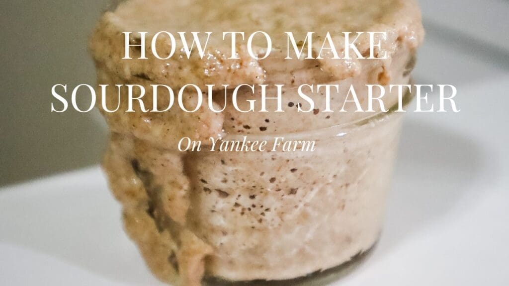 Sourdough starter in mason jar