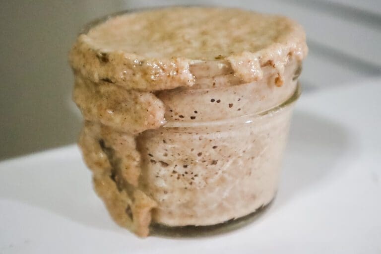 SOUrdough startle in mason jar