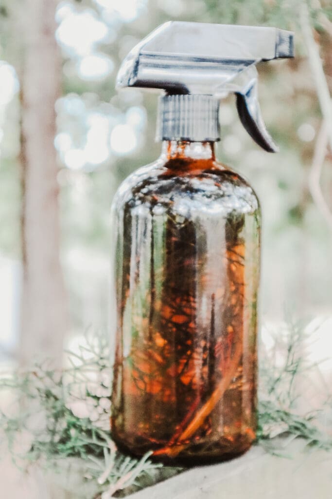 homemade pine sol scented natural cleaner in the woods