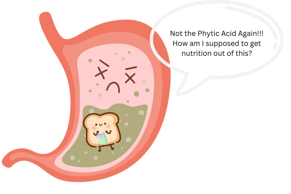 Phytic acid on the white bread in stomach.