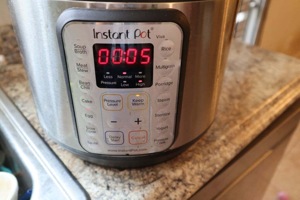 Instant pot viva