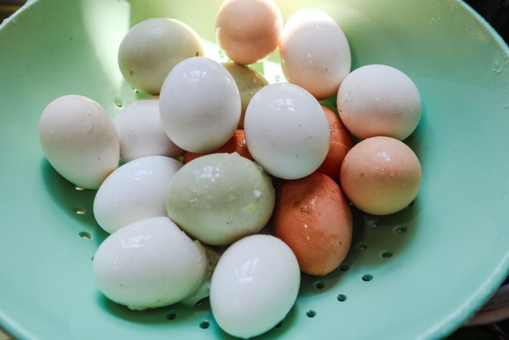 hard boiled eggs getting rinsed off