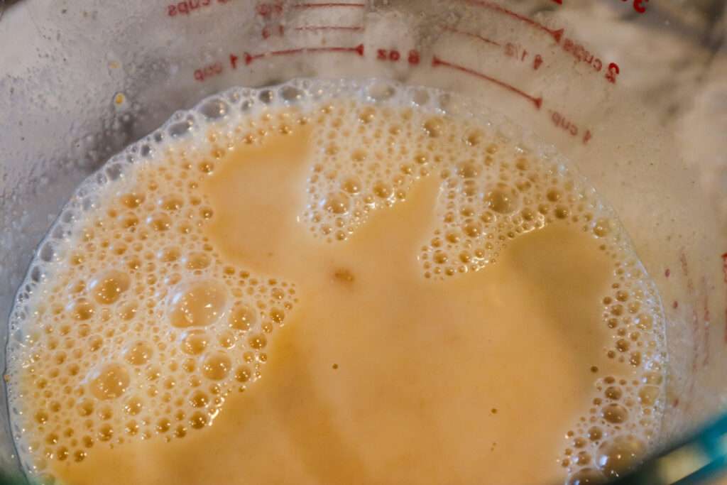 Yeast and water in mixing bowl